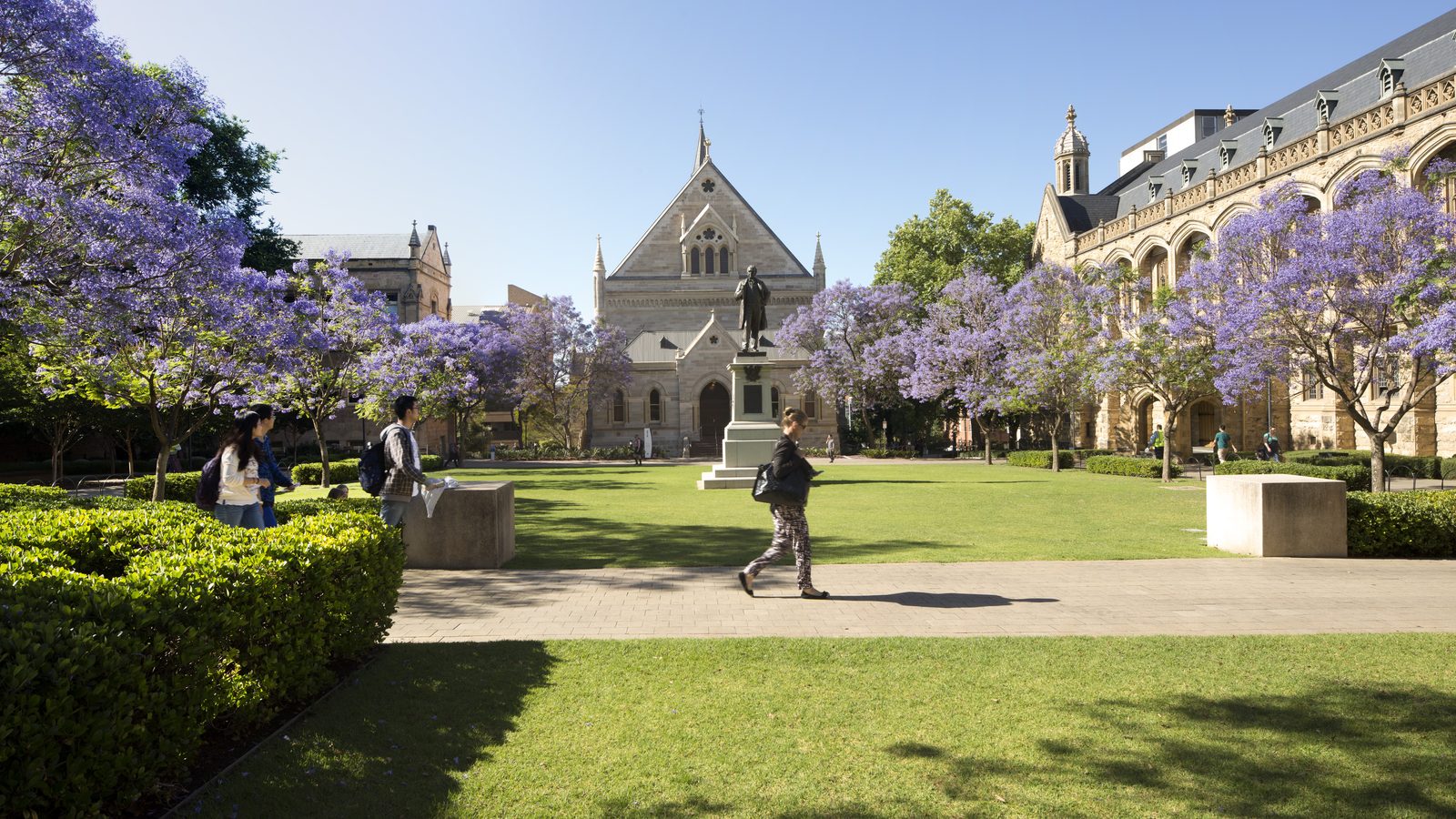 Adelaide University's historic North Terrace campus with jacarandas in bloom